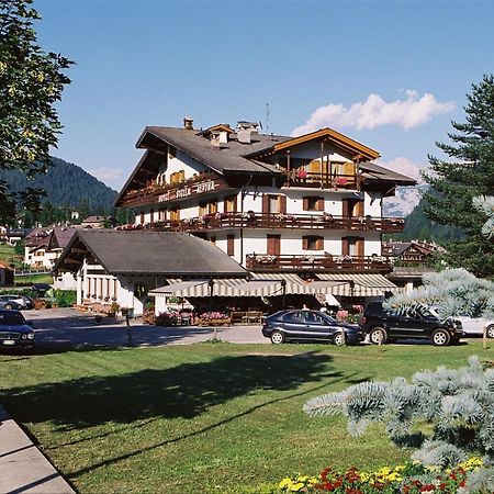 Hotel Stella Alpina ฟัลกาเด ภายนอก รูปภาพ