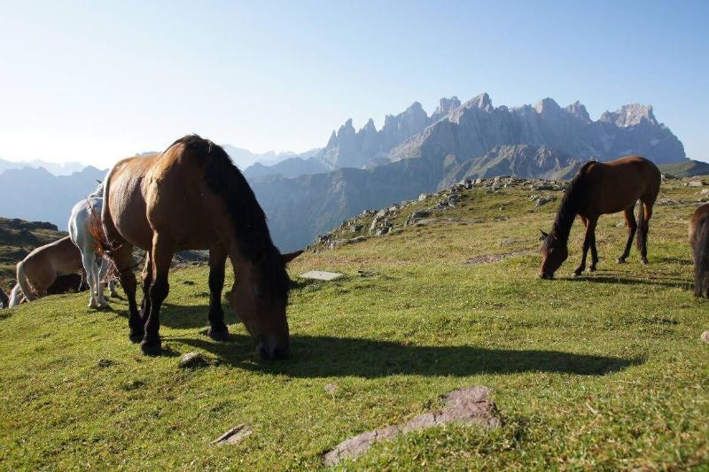 Hotel Stella Alpina ฟัลกาเด ภายนอก รูปภาพ